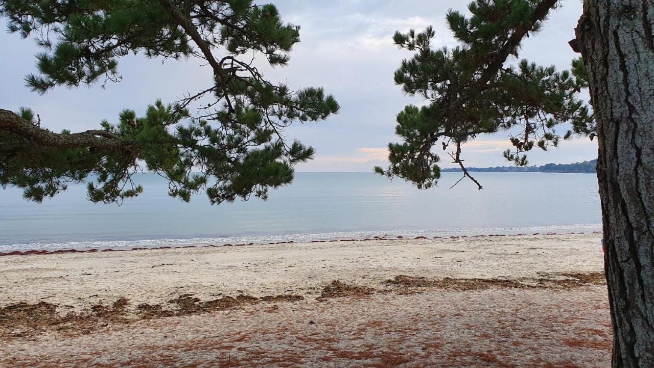 Vacances O Cap Coz - Jardin Vue Mer Et Piscine - Residence Cap Azur Fouesnant Exteriér fotografie